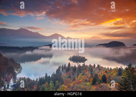 Bleder See im Herbst.  Bleder See mit St. Marys Church Mariä Himmelfahrt auf der kleinen Insel. Bled, Slowenien, Europa. Stockfoto