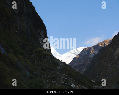 Trekker Silhouette gegen den Schnee bedeckt Berg von Ganggapurna in den Modi Khola-Tal Annapurna Sanctuary, Stockfoto