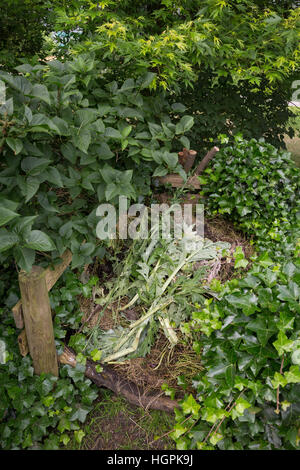 Komposthaufen, Kompost-Strafgeld, Kompost, Humus, Kompostieren, Kompostierung, Rotte, Gartenabfälle Im Garten, Naturgarten, Kompost-Haufen, Kompost, Humus Stockfoto