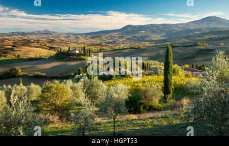 Späten Nachmittag Sonne auf den Belvedere und die Landschaft des Val d ' Orcia in der Nähe von San Quirico, Toskana, Italien Stockfoto
