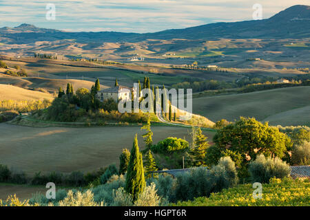 Späten Nachmittag Sonne auf den Belvedere und die Landschaft des Val d ' Orcia in der Nähe von San Quirico, Toskana, Italien Stockfoto