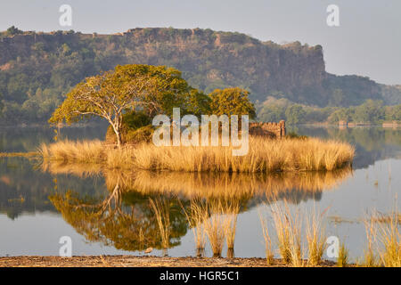 See in Ranthambhore National park Stockfoto