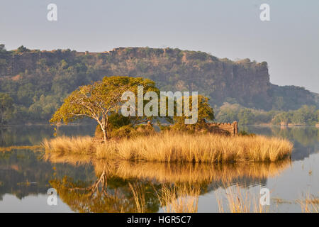 See in Ranthambhore National park Stockfoto