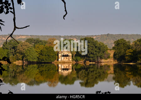 See in Ranthambhore National park Stockfoto