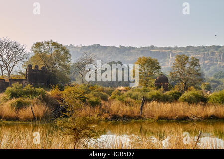 See in Ranthambhore National park Stockfoto