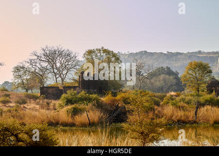 See in Ranthambhore National park Stockfoto