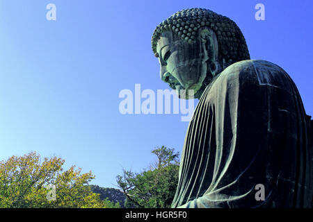 Seitenansicht der große Buddha von Kamakura, Japan Stockfoto