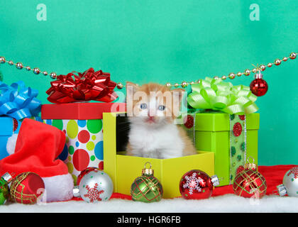 Entzückende orange-weiße langhaarige Tabby Kätzchen sitzen in Weihnachten präsentiert mit Urlaub Ornamente, grüner Hintergrund mit Textfreiraum. Stockfoto