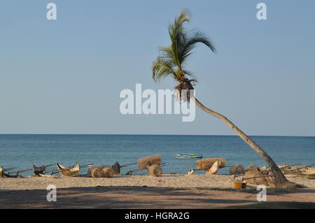 Hölzerne Pirogen & Palmen am Ufer von Andilana Beach in Nosy Be, Madagaskar. Stockfoto