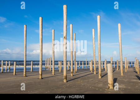 Artwork, Kunstinstallation "Petten in Palen" an der Nordküste von Petten, Nordholland, 160 Holzpfähle, die Silhouette der ehemaligen Dorf Chu Stockfoto