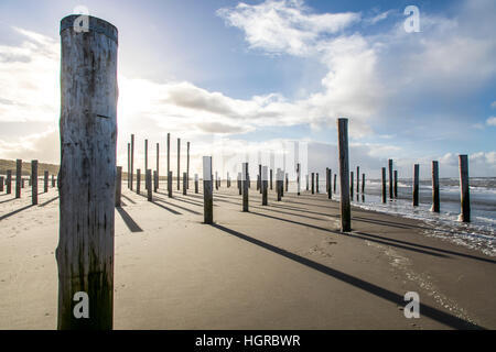 Artwork, Kunstinstallation "Petten in Palen" an der Nordküste von Petten, Nordholland, 160 Holzpfähle, die Silhouette der ehemaligen Dorf Chu Stockfoto