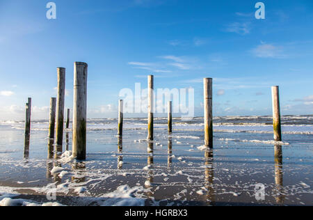 Artwork, Kunstinstallation "Petten in Palen" an der Nordküste von Petten, Nordholland, 160 Holzpfähle, die Silhouette der ehemaligen Dorf Chu Stockfoto