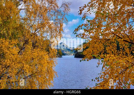 Blick auf einem norwegischen See mit Hügeln in der Ferne durch zwei Birken im Herbst gelbe Blätter Stockfoto