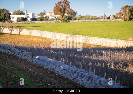 Trulli Häuser in Pulia Aeria in Süditalien Stockfoto