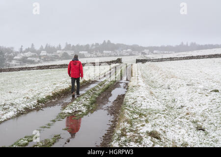 Killearn, Stirlingshire, Schottland, Großbritannien. 12. Januar 2017. UK-Wetter: ein Mann geht entlang entlang der Leitung Strecke während einer der vielen leichten, aber häufige Schneeschauer. "Rohr-Track" - eine beliebte Route für lokale Wanderer - Abfahrten zwischen Killearn und Strathblane in Campsie Fells, folgt eine Strecke von (vor allem versteckte) Rohrleitungen, die Wasser von Loch Katrine in Loch Lomond und Trossachs National Park in der Stadt Glasgow. © Kay Roxby/Alamy Live-Nachrichten Stockfoto