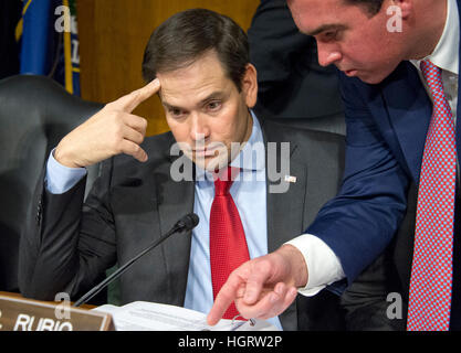 Washington, USA. 12. Januar 2017. Vereinigte Staaten Senator Marco Rubio (Republikanische of Florida) geht über einige Notizen mit einem nicht identifizierten Mitglied seines Stabes vor uns Senate Select Committee on Intelligence Anhörung über die Ernennung von uns Vertreter Mike Pompeo (Republikanische of Kansas), Direktor der Central Intelligence Agency (CIA) auf dem Capitol Hill in Washington, DC. Bildnachweis: Ron Sachs/CNP Foto: Ron Sachs/Consolidated/Dpa/Alamy Live News Stockfoto