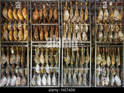 Schinken der schwarzen iberischen Schwein in eine Aushärtung Fabrik, Aracena,-Provinz Huelva, Andalusien, Spanien Stockfoto