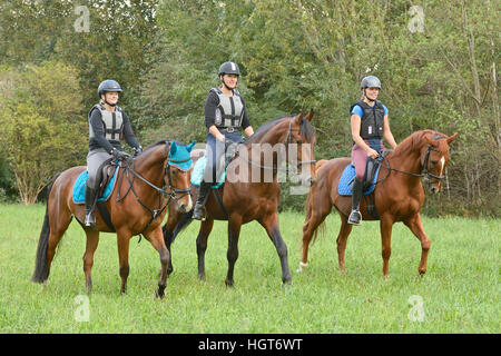 Drei junge Frauen tragen einen Körperschutz Reiten auf einer Wiese Stockfoto