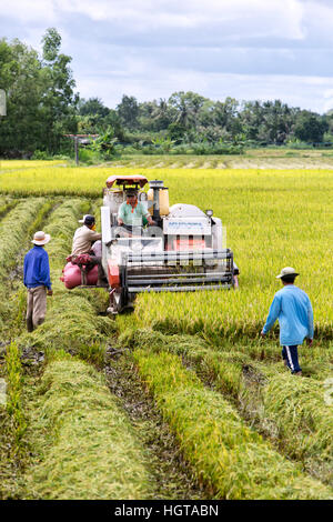 Operator manövrieren Kubota DC-60 Reis Mähdrescher, Stockfoto
