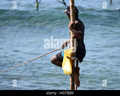 Fischer auf Stelzen, die versucht, einen Fisch zu fangen, auf den Pol an der Küste von Sri Lanka Stockfoto