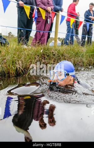 Eine Frau nimmt an der Northern Ireland Bog Schnorcheln-Meisterschaften teil. Stockfoto