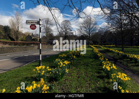 Narzissen auf Anzeigen frühe Zeichen der englischen Landschaft Frühling Stockfoto