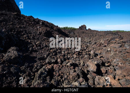 Crossing Over erstarrter Lava flow von Chinyero Vulkan Teide, Teneriffa, Kanarische Inseln, Spanien Stockfoto