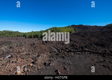 Crossing Over erstarrter Lava flow von Chinyero Vulkan Teide, Teneriffa, Kanarische Inseln, Spanien Stockfoto