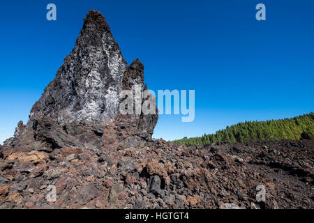 Crossing Over erstarrter Lava flow von Chinyero Vulkan Teide, Teneriffa, Kanarische Inseln, Spanien Stockfoto