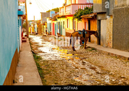 Trinidad, Kuba - 18. Dezember 2016: Pferd in die koloniale Stadt von Trinidad (UNESCO Weltkulturerbe). Stockfoto