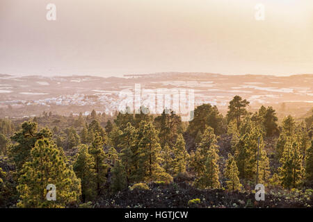 Orange staubige Licht über Guia de Isora verursacht durch Staub in der Luft nach einem Calima, Teneriffa, Kanarische Inseln, Spanien Stockfoto