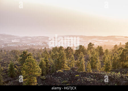 Orange staubige Licht über Guia de Isora verursacht durch Staub in der Luft nach einem Calima, Teneriffa, Kanarische Inseln, Spanien Stockfoto