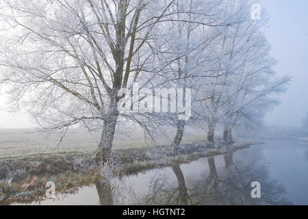 Oxford-Kanal auf einem frostigen Nebel Dezembermorgen. Somerton, Nord Oxfordshire, England Stockfoto