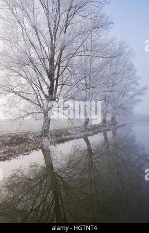 Oxford-Kanal auf einem frostigen Nebel Dezembermorgen. Somerton, Nord Oxfordshire, England Stockfoto