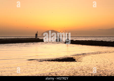 Fischerboot im Hafen von Girvan mit Möwen bei Sonnenuntergang und Ailsa Craig Insel am Horizont, Girvan, Ayrshire, Schottland Stockfoto