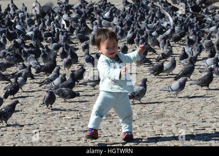 Kind / Kleinkind spielen mit Hunderten von Tauben in der Mongolei in einem Quadrat Stockfoto