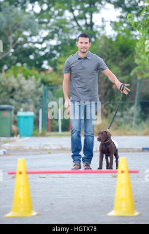 Mann Ausbildung Hund Stockfoto