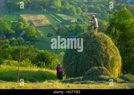 Pastorale Szene in der rumänischen Landschaft Stockfoto