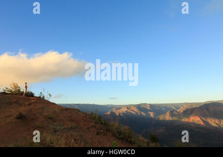 Mann auf der Suche über Waimea Canyon, der Insel Kauai, Hawaii Stockfoto