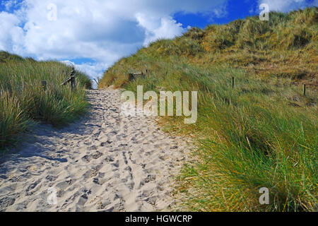 Zugang Zum Strand am Ellenbogen, Liste, Sylt, Nordfriesische Inseln, Nordfriesland, Schleswig-Holstein, Deutschland Stockfoto