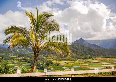 Hanalei wildlife an der Nordküste von Kauai bewahren Stockfoto