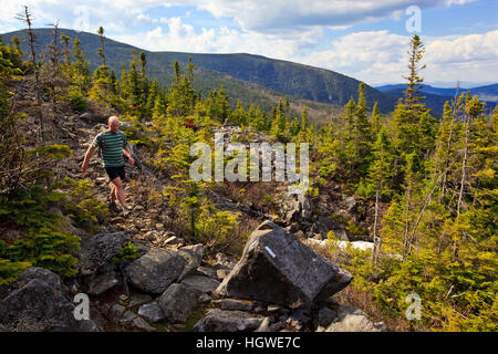 Ein Mann wandert den Appalachian Trail auf Crocker Berg in Stratton, Maine. Stockfoto