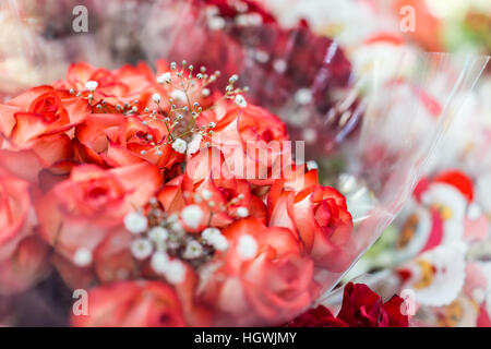Rosenstrauß weiß und Pfirsich mit Tipps und Blumen Stockfoto