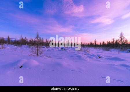 Winterlandschaft mit Wald, Bäume und Schatten. Sonnenuntergang über schneebedeckten Taiga. Stockfoto