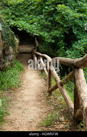 Weg durch dichten Wald und Holzzaun auf Kreta Stockfoto