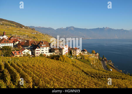 Weinberge im Herbst, Genfer See und Weinbau Dorf Rivaz, Lavaux, Kanton Waadt, Schweiz Stockfoto