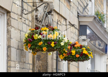 Hängenden Körben voller Frühlingsblumen vor Haus Stockfoto