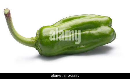 Friggitello, ein einziger toskanischen oder Griechisch milden Pfeffer, genannt Peperoncino in den USA (Capsicum Annuum). Schneidepfad, Schatten getrennt Stockfoto