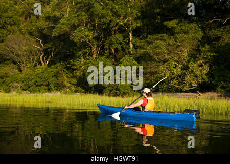 Eine Frau Kajaks im Fluss schwarz Hall in der Nähe der Mündung des Connecticut River in Old Lyme, Connecticut. Stockfoto