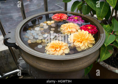 Eine kleine florale wollen auch mit Münzen auf Penang Hill, Malaysia Stockfoto